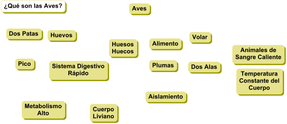 Initial Ranking of Concepts for a Concpet Map about Birds