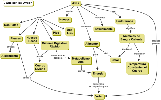 Cmap about Birds