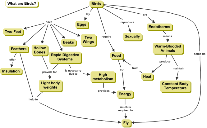 Cmap about Birds