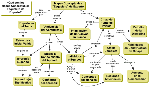 Mapa Conceptual Esqueleto de Experto