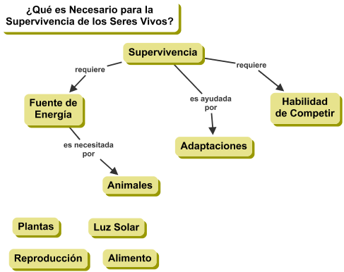 Que es necesario para la superviviencia d elos seres vivos